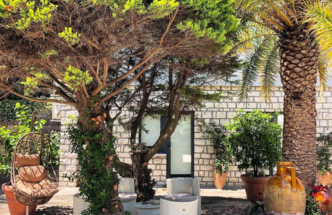 Le Due Palme Bed & Breakfast-1